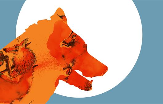 Příhody Lišky Bystroušky